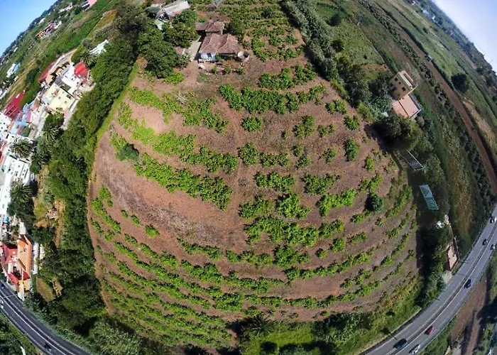 Casa vacanze Mamposo Tacoronte