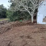 Mamposo * Tacoronte