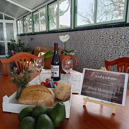 Holiday home Mamposo