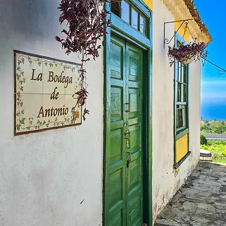 Mamposo Casa vacanze Tacoronte