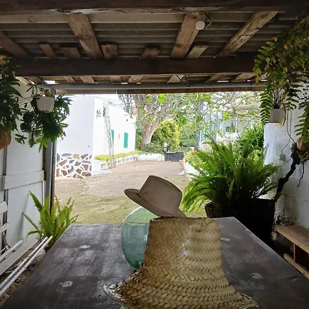 Mamposo * تاكورونتي