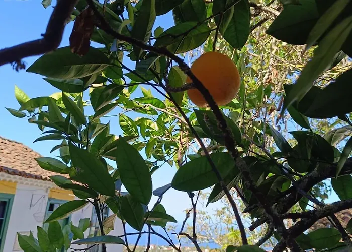 Mamposo بيت للعطل *