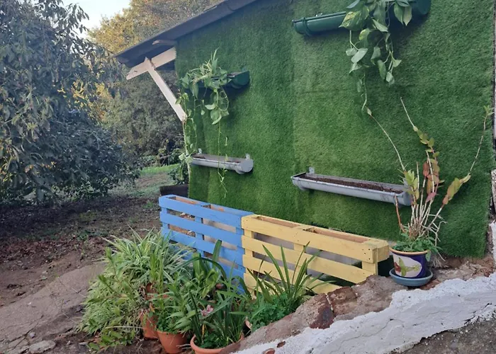 Mamposo * تاكورونتي