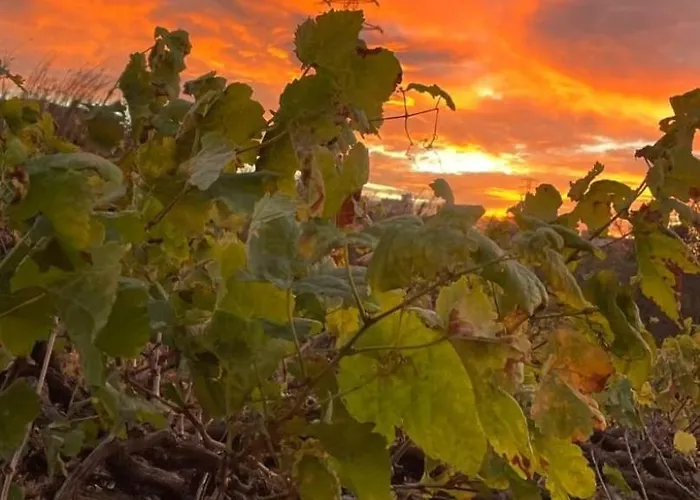 Mamposo Holiday home *