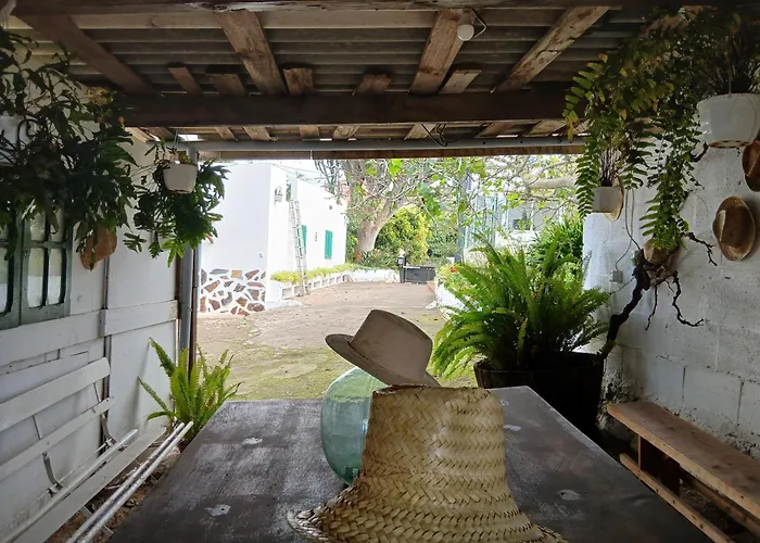 Mamposo * تاكورونتي