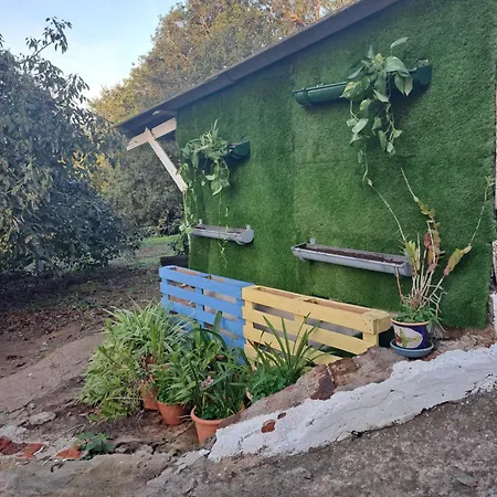 Mamposo * 塔科龙特