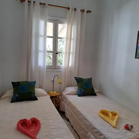 Mamposo * 塔科龙特