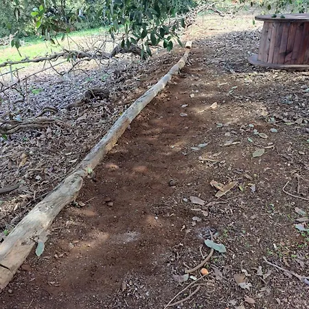 Mamposo * 塔科龙特