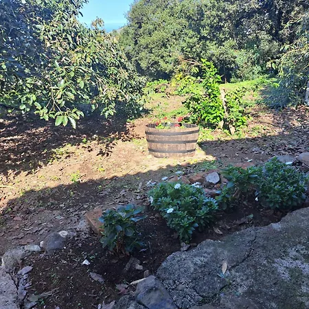 Mamposo בית נופש