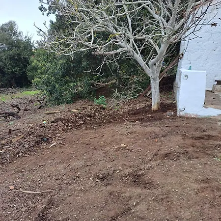 Mamposo * 塔科龙特