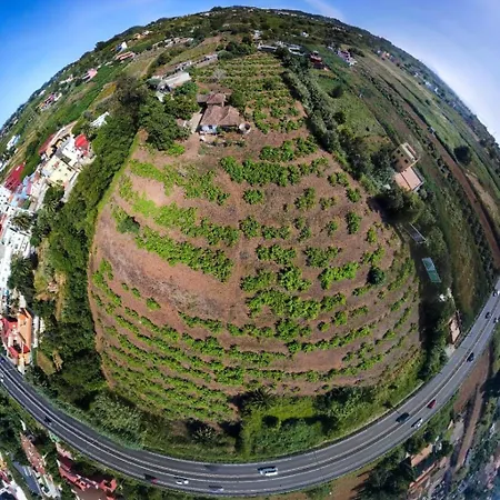 בית נופש Mamposo טקורונטה