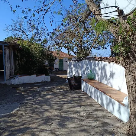 Mamposo Ferienhaus Tacoronte